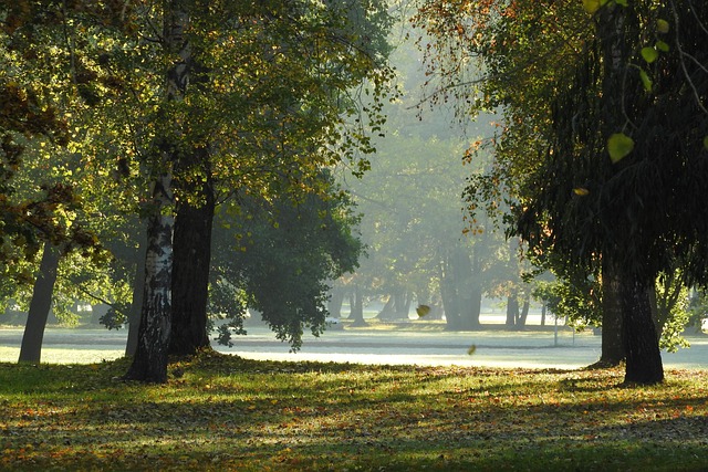park Stromovka České Budějovice